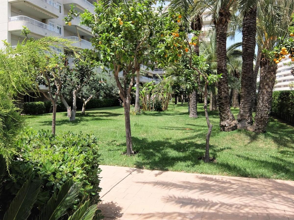 Parque Mota - Alquiler Solo A Familias Apartment Playa de Gandia Exterior foto